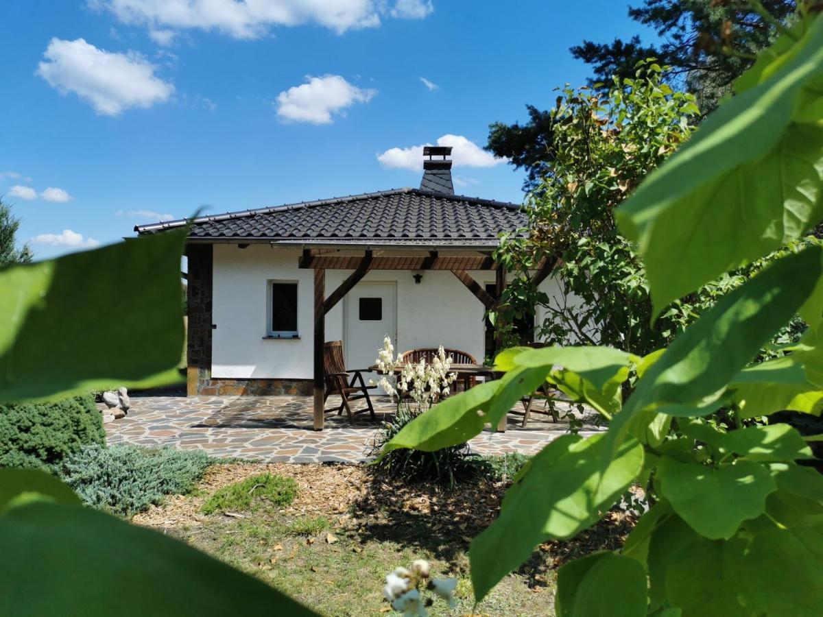 Ferienhaus Hase Bomsdorfer Hof Grafenhainichen Exteriör bild